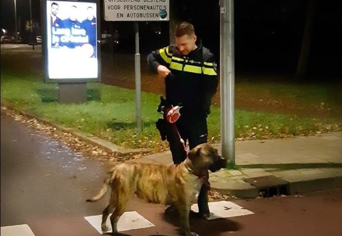 Agenten ontfermen zich over achtergelaten hond