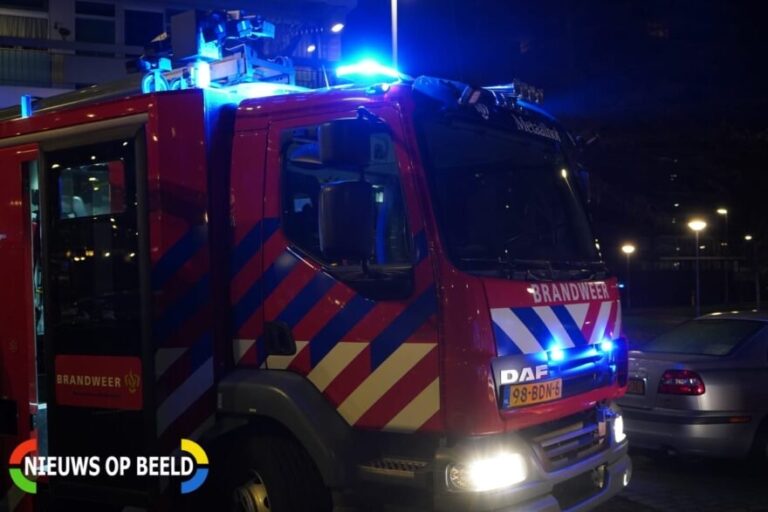 Veel schade in tuin na felle brand in tuin 1e Lunarelaan