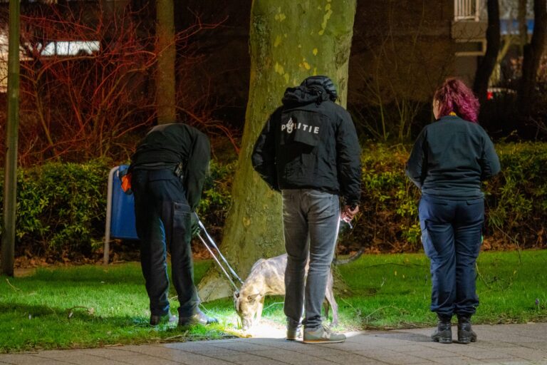 Politie zoekt getuigen zedenmisdrijf