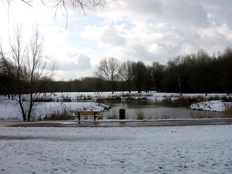 Ga mee op winterexcursie in het Schollebos