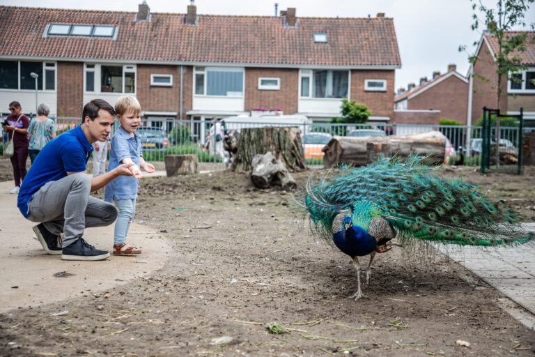 Veel belangstelling voor opening nieuwe dierenweide