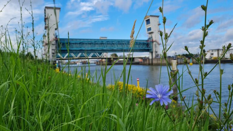 Hoge waterstanden grote rivieren geen gevolgen voor Hollandse IJssel bij Capelle