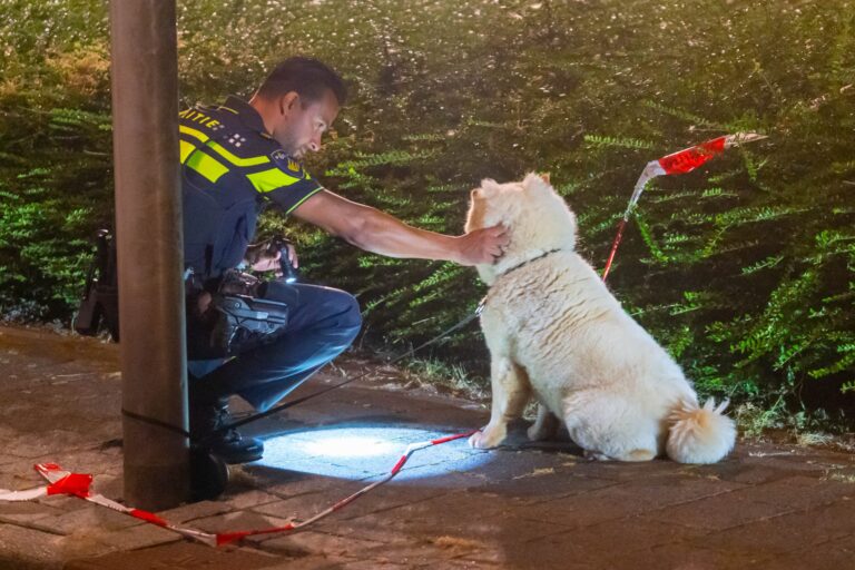 Politie vermoedt zakelijk motief voor moord op Wisam