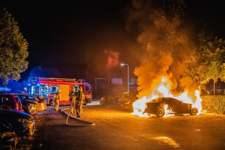 Auto’s op Pallieterburg in Schollevaar verwoest door brand