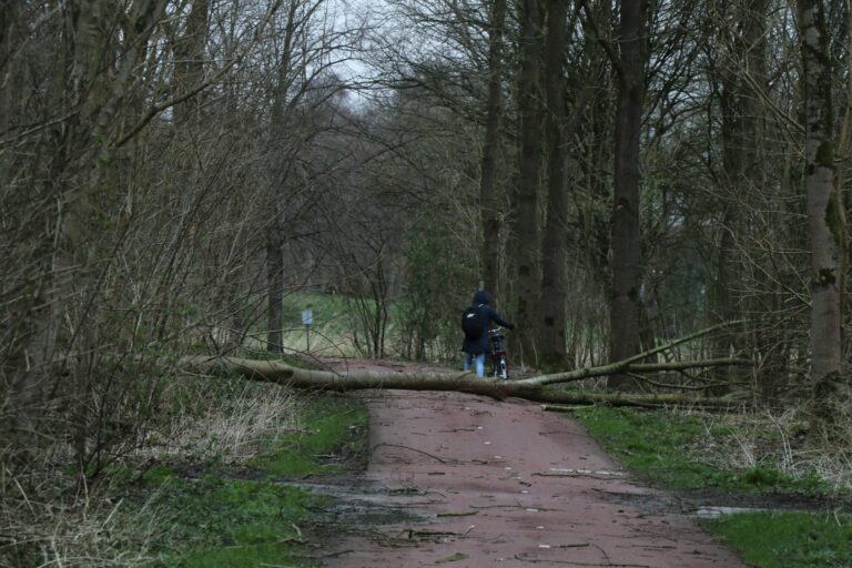 Veel schade in Capelle door storm Eunice