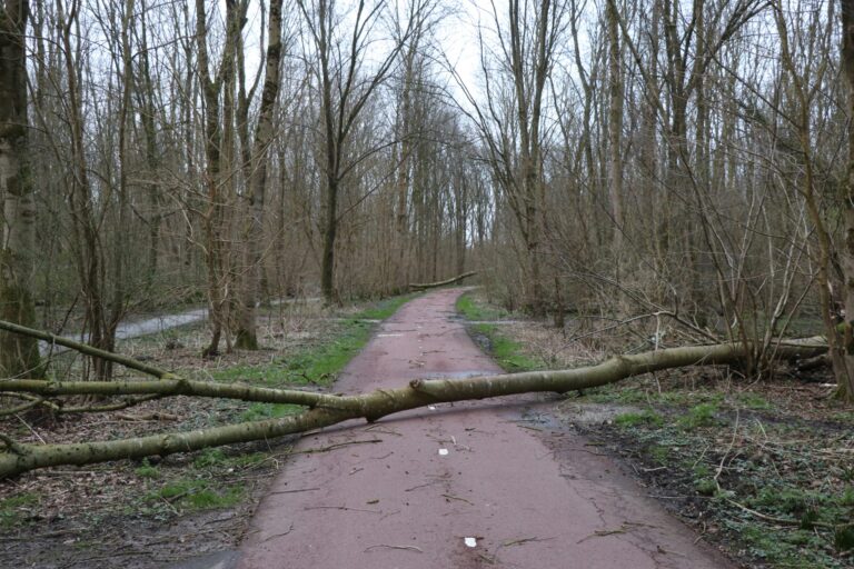 Woensdagochtend harde wind en plaatselijk veel regen