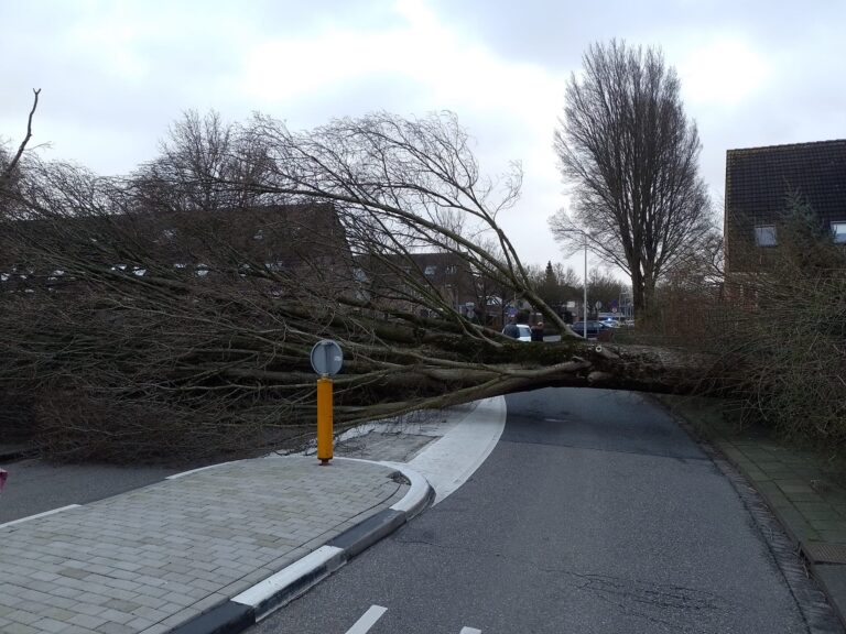 Capellenaren inventariseren schade van storm Eunice