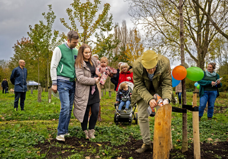 Tien jaar na planten eerste ‘babyboom’ is Capelse babybos vol