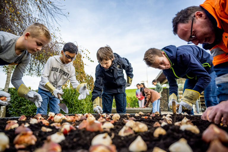 Kindercollege plant samen met Capelse veteranen 500 tulpenbollen bij oorlogsmonument