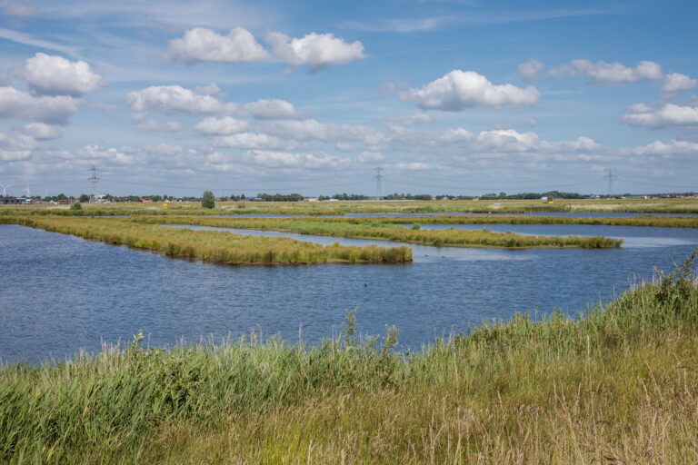 Natuur- en Vogelwacht Rotta organiseert publiekswandeling bij Zevenhuizerplas