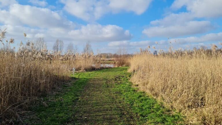 Bouwplannen vakantiehuisjes Krimpenerhout van de baan