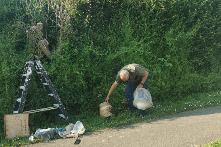 Bijennest verwijderd uit geluidswal Schollevaar