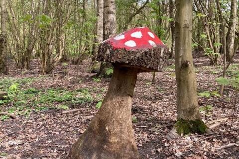 Wandeltocht door nieuwe kabouterbos in Schollebos