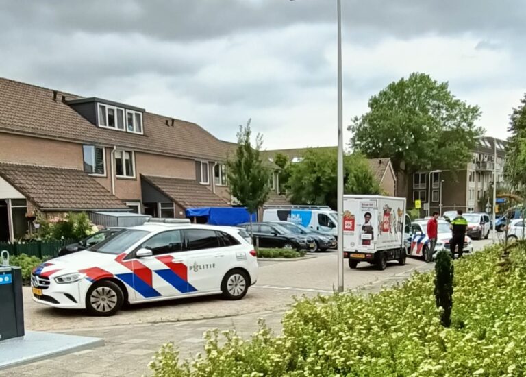 Bewoners en PicNic-bezorger op de vuist na verkeerd geparkeerde bezorgwagen