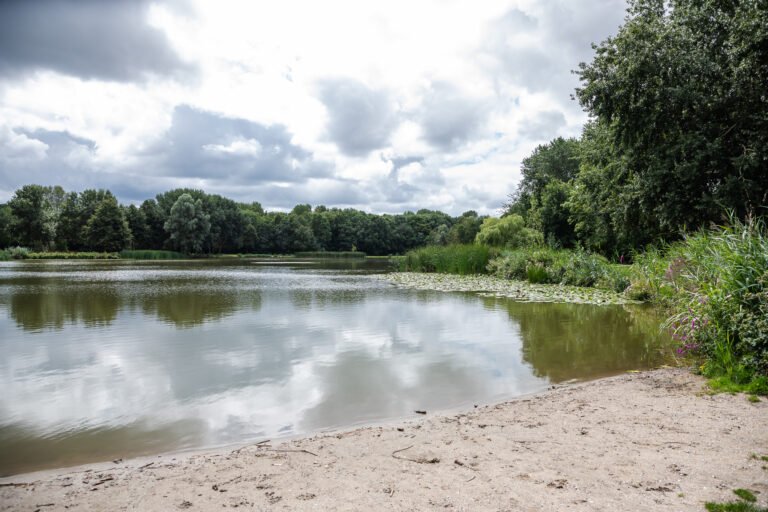 Geen blauwalg meer bij hondenstrand Schollebos