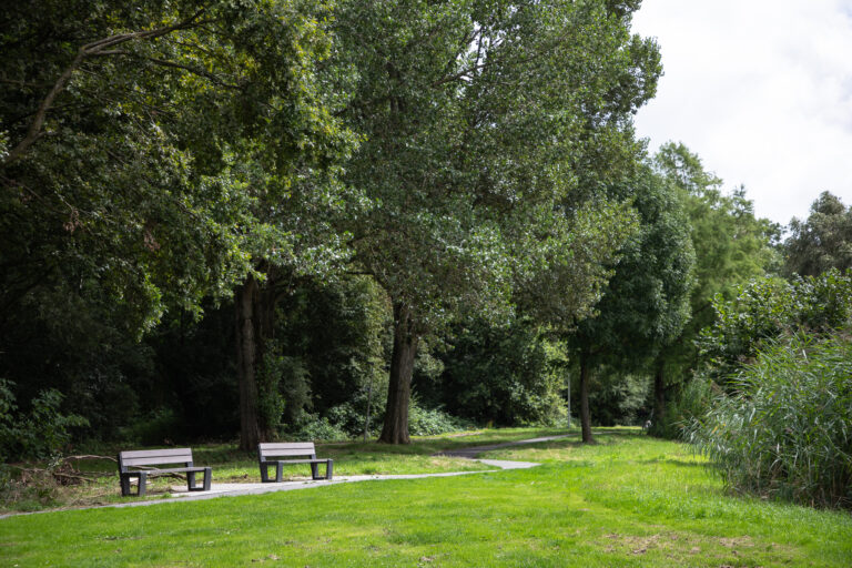 Zomerexcursie in Schollebos op zaterdag 10 augustus