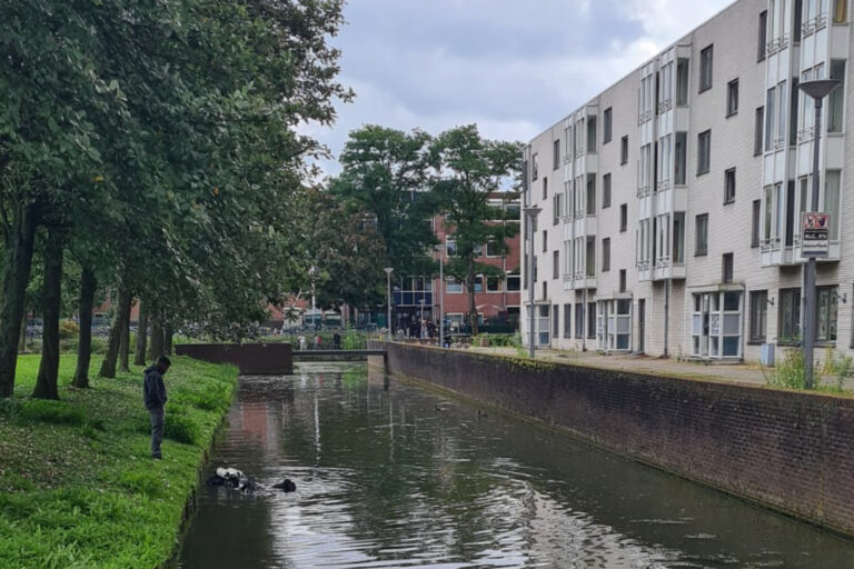 Drie Rotterdamse tieners aangehouden in onderzoek neergestoken Capellenaar op Grote Beer