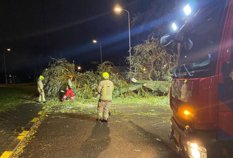 Scholen eerder dicht, omgevallen bomen en sluitende IJsselkering: zo verliep storm Ciarán in Capelle