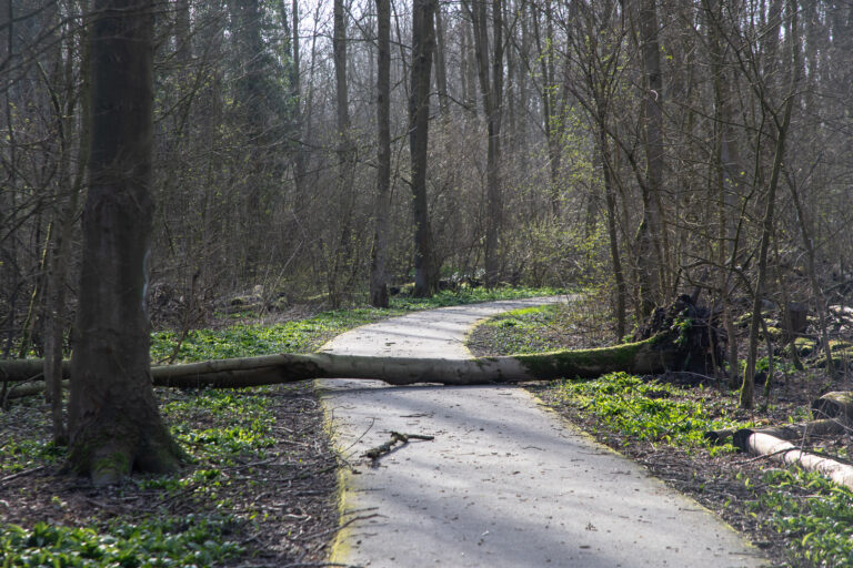 Storm Henk komt eraan, KNMI waarschuwt voor stormachtige wind