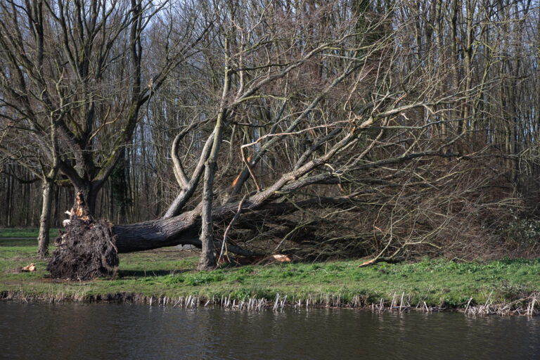 Storm Conall op komst, KNMI waarschuwt voor zware windstoten