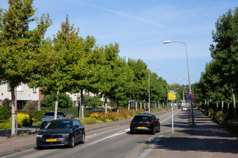 Europalaan in Nieuwerkerk in 2025 op de schop, inloopbijeenkomst op 9 september