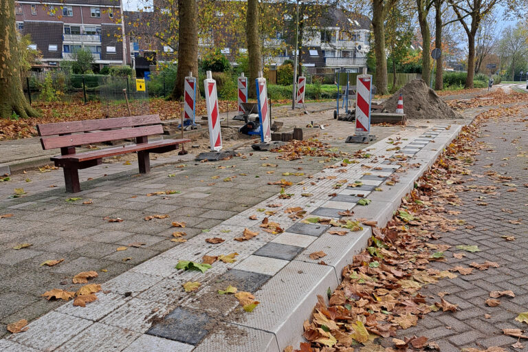 Capelse bushaltes allemaal sneller toegankelijk