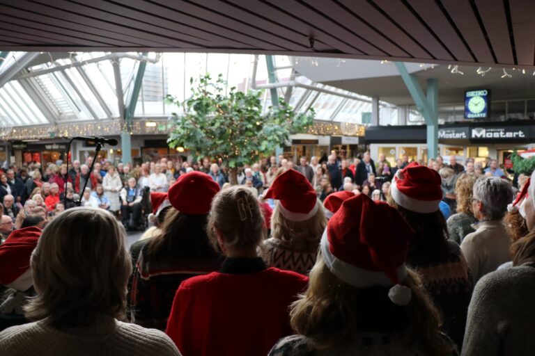 Fotoverslag | Oogst- en streekmarkt in winkelcentrum Crimpenhof