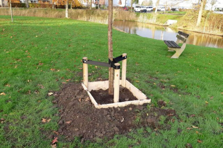 Gemeente plant honderden bomen in Capelle aan den IJssel