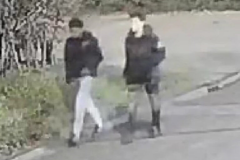Vrouw (58) slachtoffer van gewelddadige beroving, Politie deelt beeld verdachten