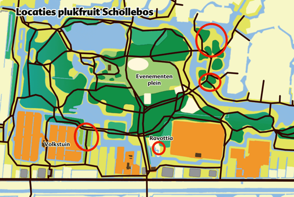 Plukken in het Schollebos maar alleen in plukzones
