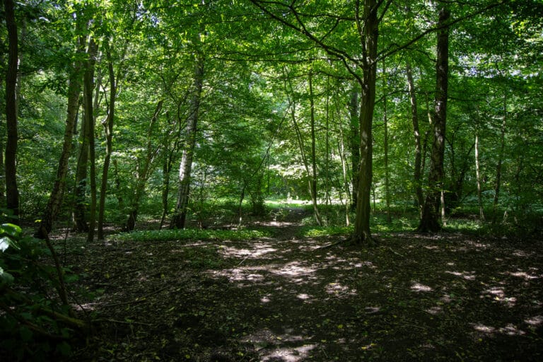 Politieonderzoek naar dode dieren Schollebos levert niks op