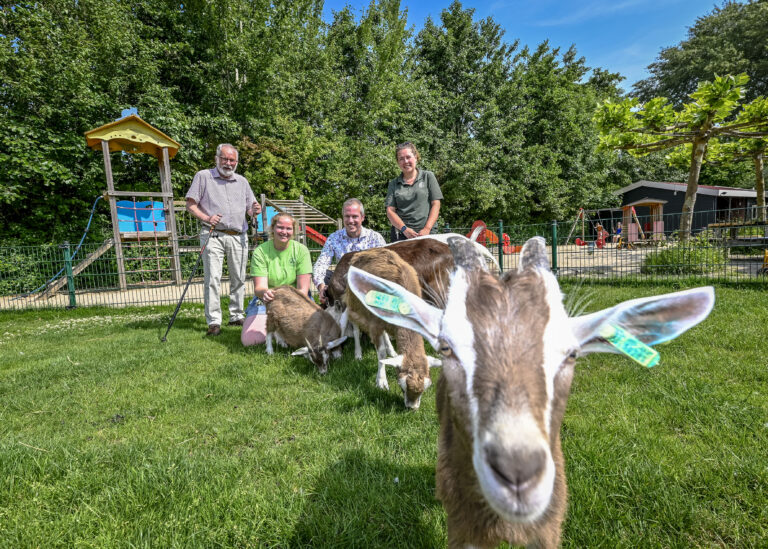 Kinderboerderij Klaverweide verhuist naar nieuwe locatie