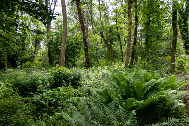 Klimaatweek van start: ‘verduurzamen iets dat we samen doen’