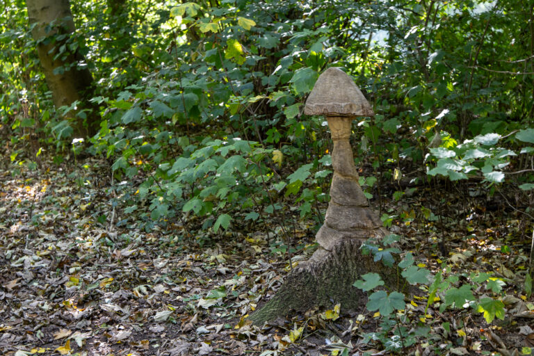 Herfstexcursie in Schollebos op 18 oktober