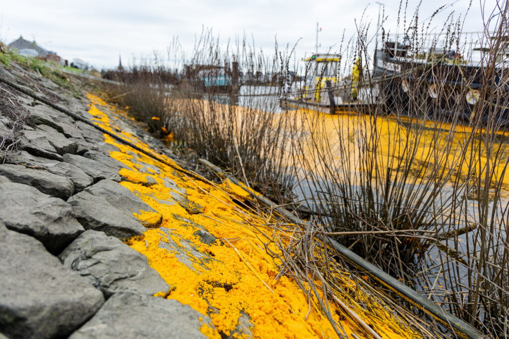 Palmolie in Hollandsche IJssel gelekt: ‘Geen gevaar voor mens of dier’