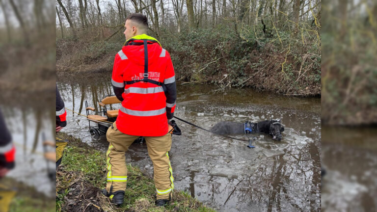 Paard en wagen raakt te water, één persoon naar ziekenhuis