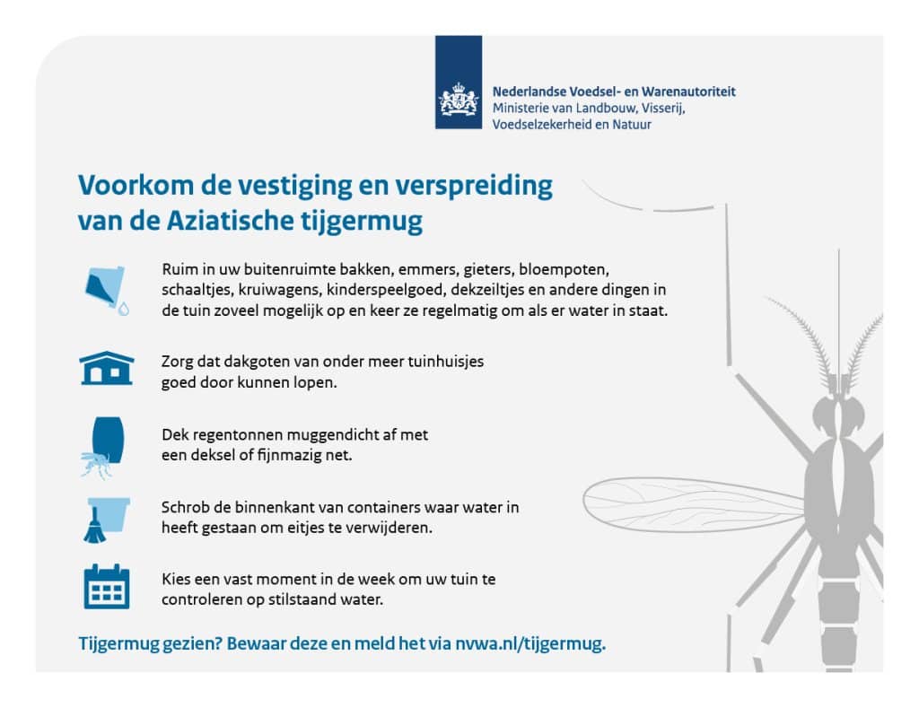 Bron: Nederlandse Voedsel- en Warenautoriteit (NVWA). Tips over Aziatische tijgermug