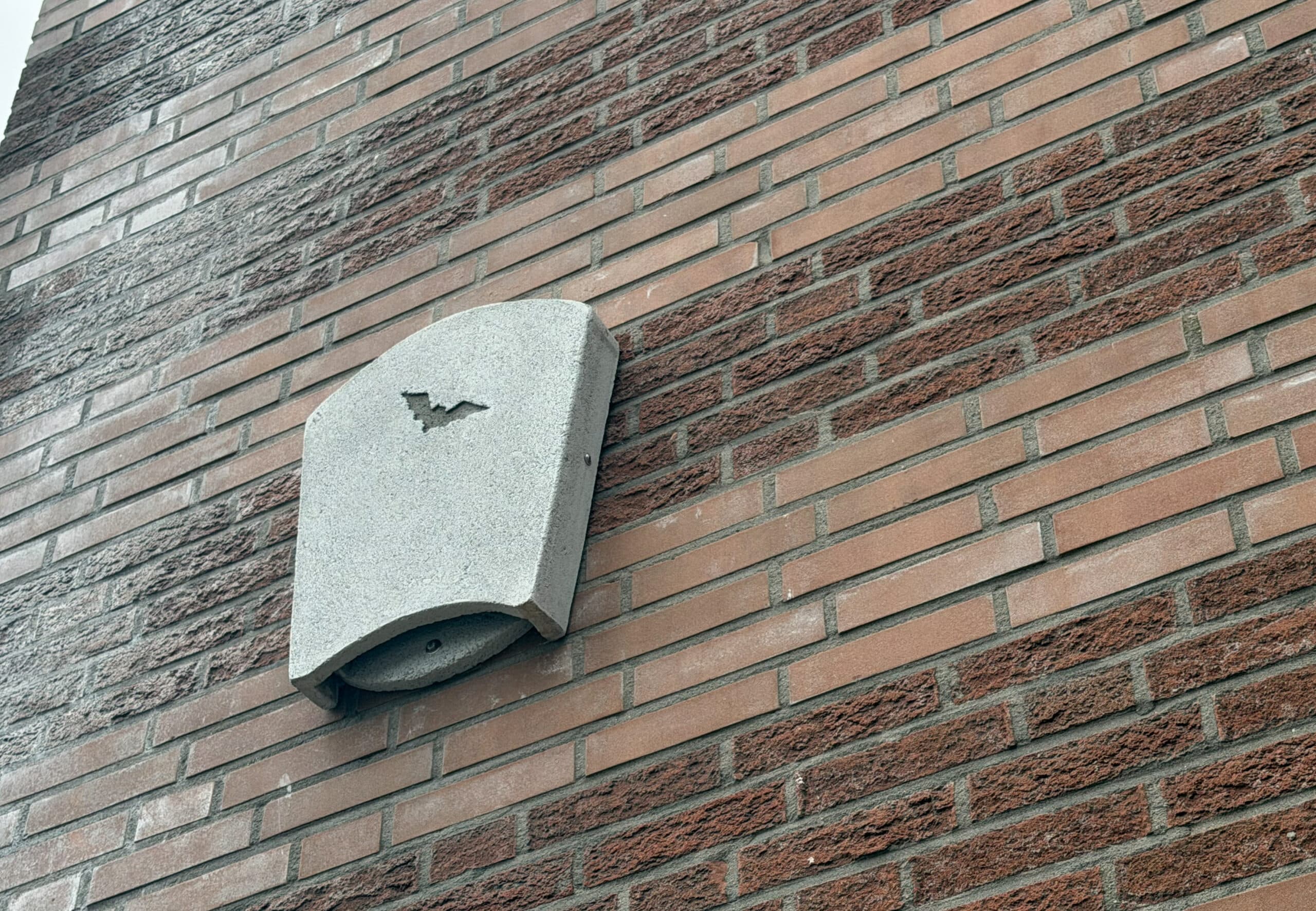 Vleermuizenkasten in de buurt van De Zevenster 