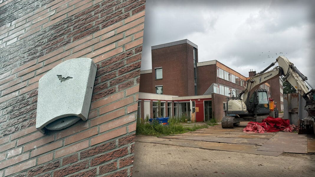De Zevenster Zevenhuizen - Links vleermuiskasten, rechts de Zevenster