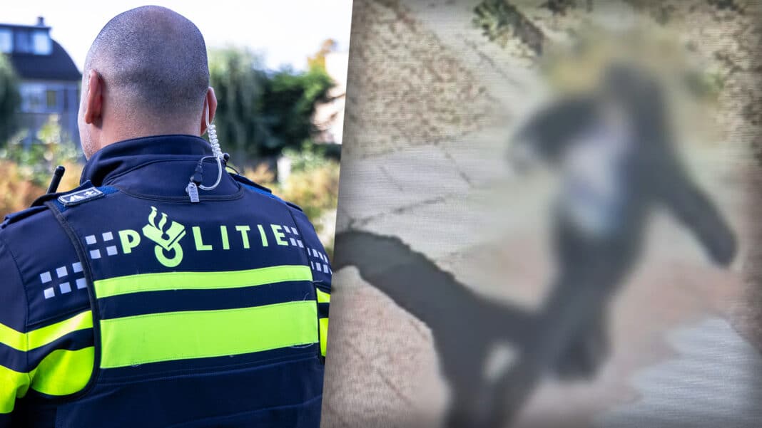 Vrouw (22) opgepakt voor bankhelpdeskfraude bij ouder echtpaar in Nieuwerkerk